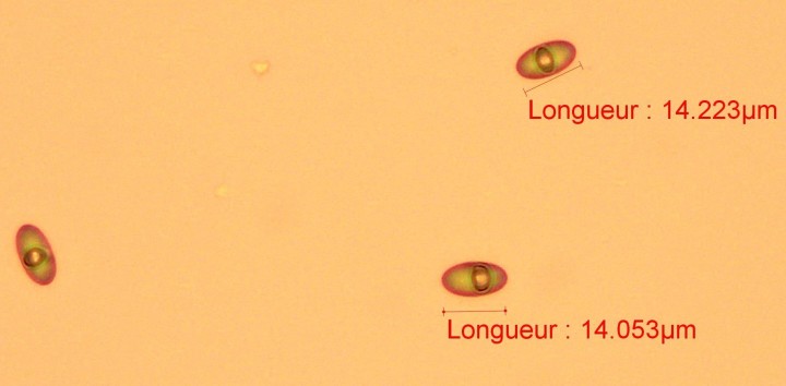 TS-20230518165045814.jpg
