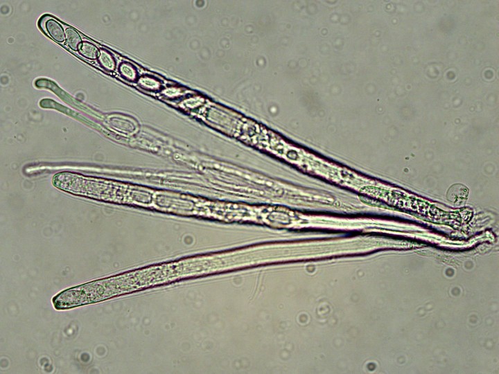 TS-20230531175250125.jpg