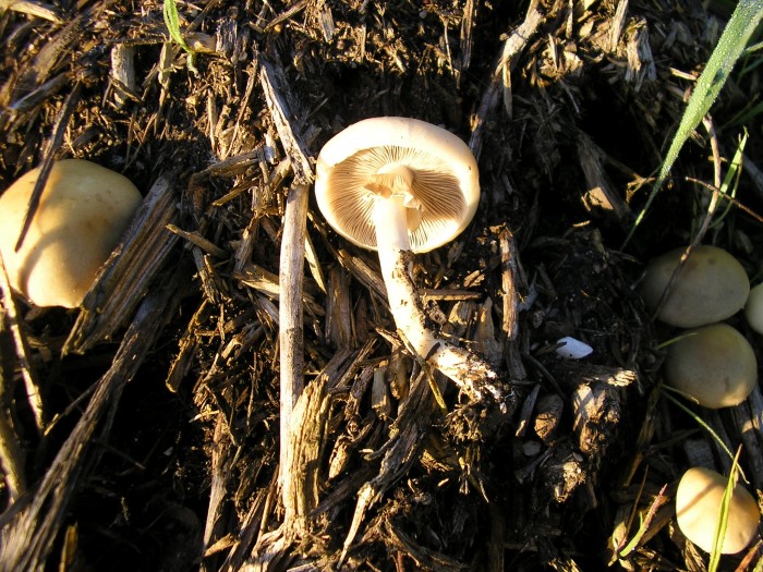P5010008.JPG