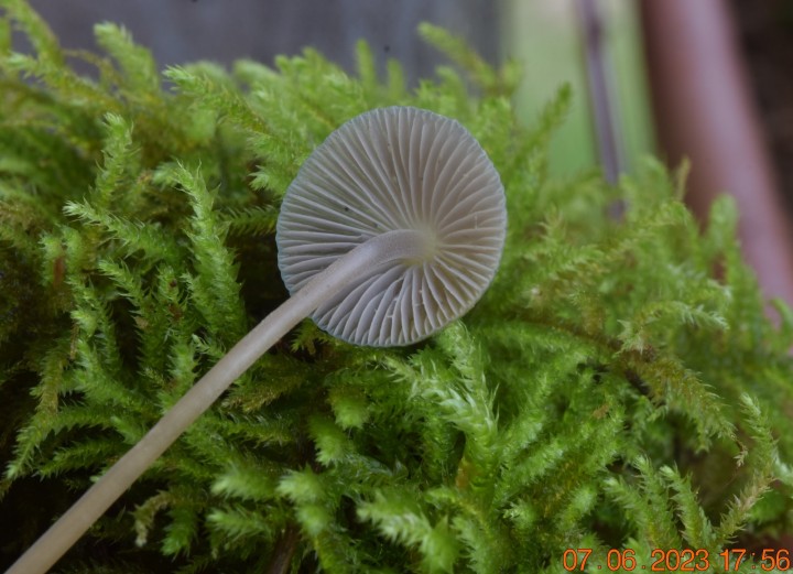 DSC_3380.JPG