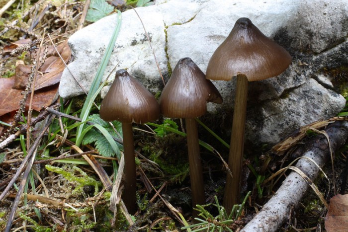 E_h30040901.jpg