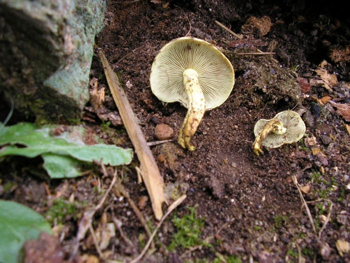 P5030011.JPG