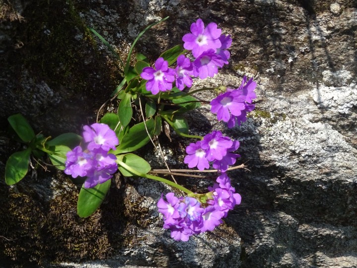 DSC05065.JPG