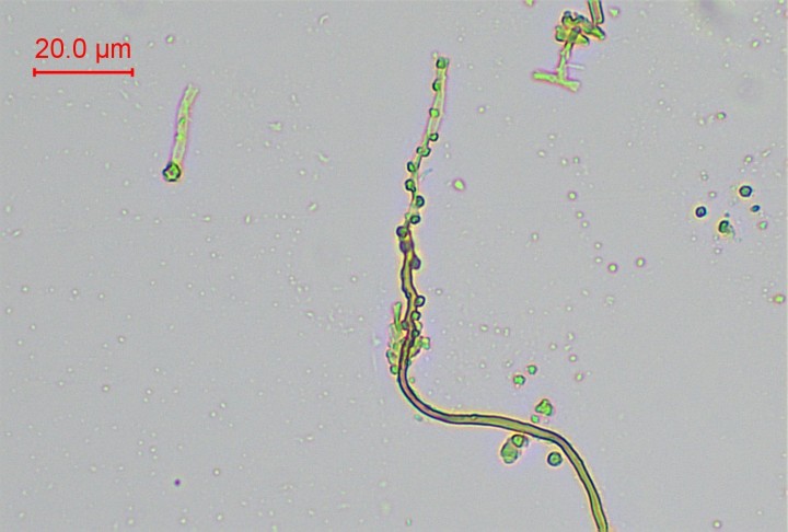 h2o-001.jpg