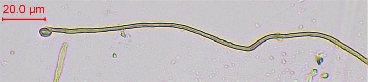 h2o-008.jpg