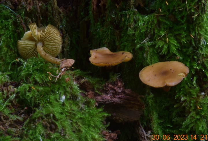 DSC_3404.JPG