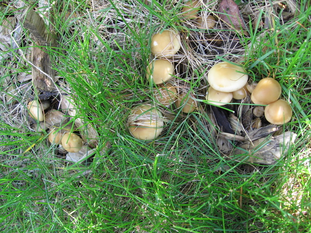img0006l.jpg