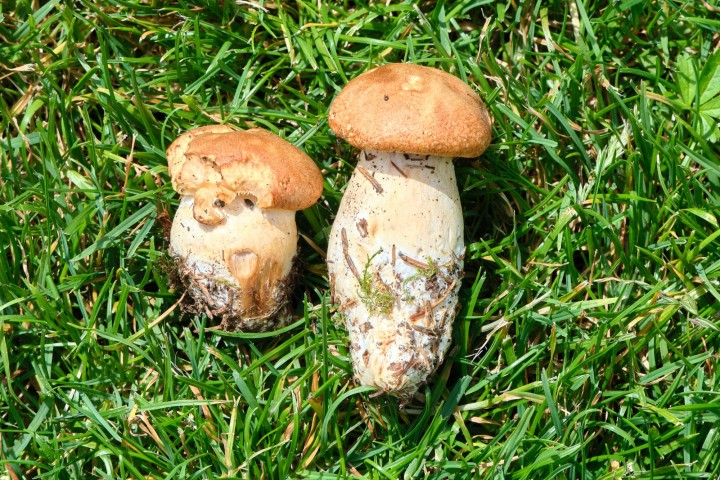 DSCF9694 1.jpg