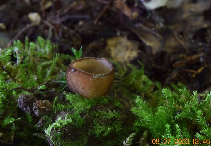 DSC_3439.JPG