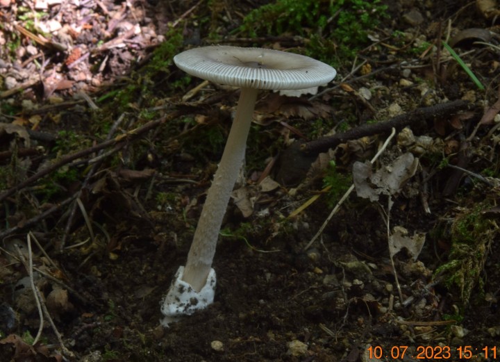 DSC_3450.JPG