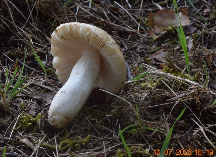 DSC_3469.JPG