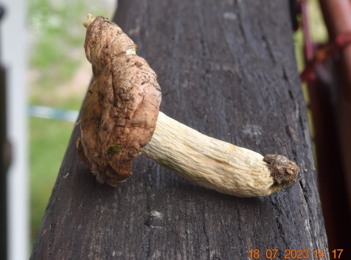 DSC_3472.JPG