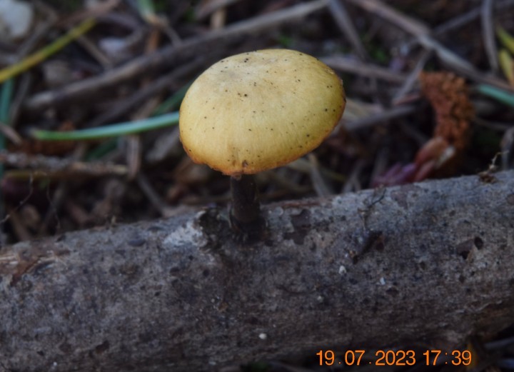 DSC_3486.JPG