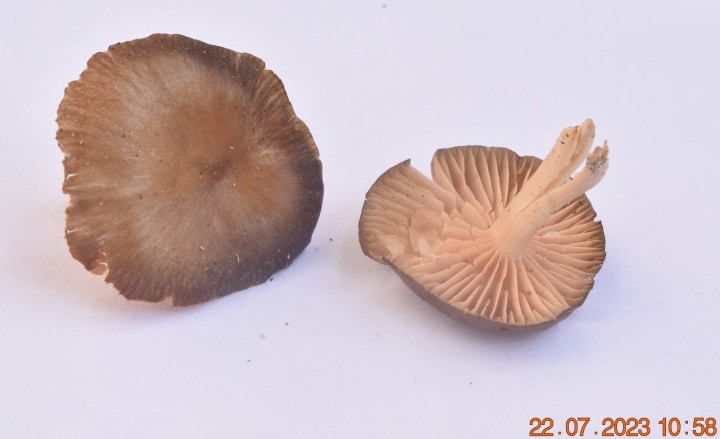 DSC_3494.JPG