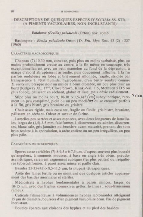 Capture1.JPG