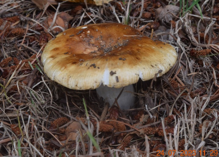 DSC_3497.JPG