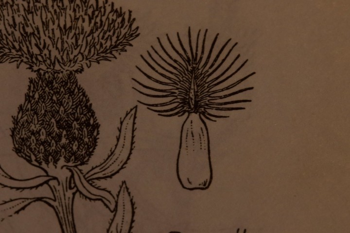 4X6A4854.JPG