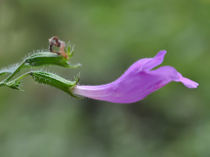 IMG_4757.png