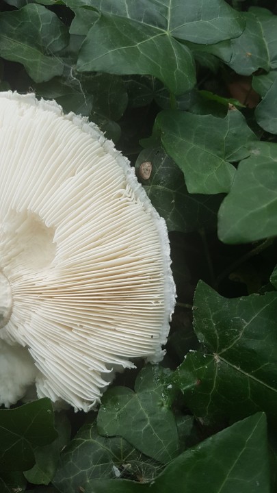 20230728_172753.jpg