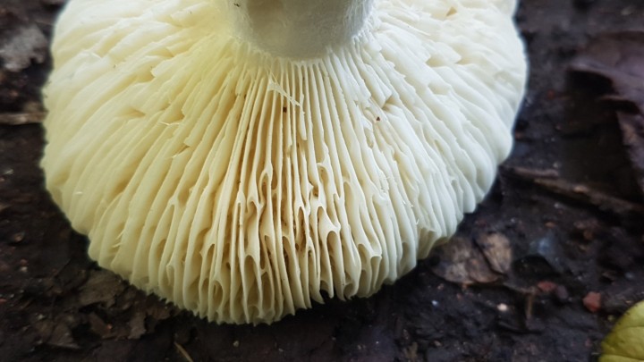 20230729_165554.jpg