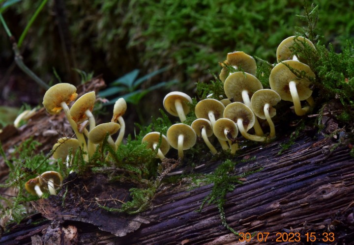 DSC_3540.JPG