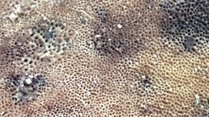 20230728_170407.jpg