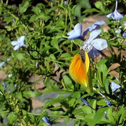 20230731_085255.JPG