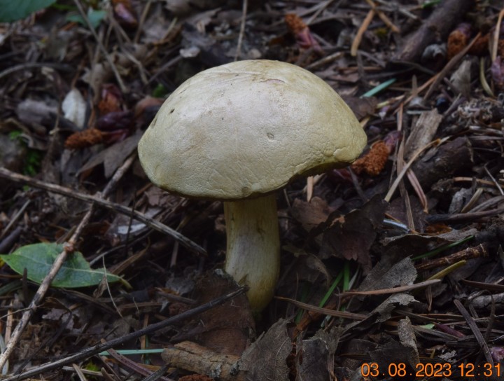 DSC_3553.JPG