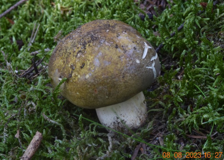 DSC_3572.JPG