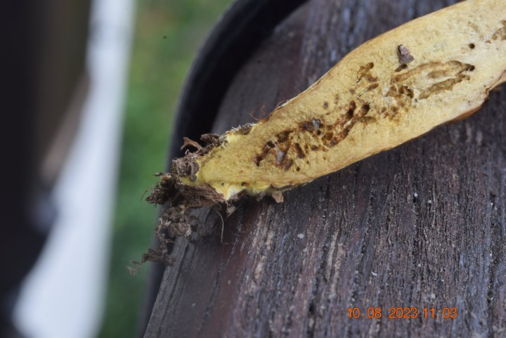 DSC_3578.JPG