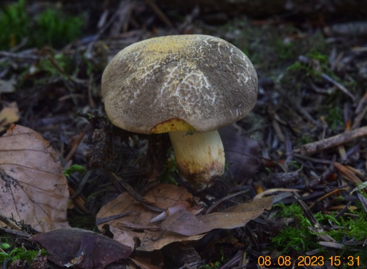 DSC_3568.JPG
