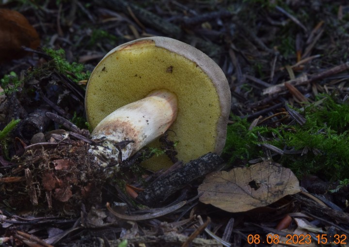 DSC_3569.JPG