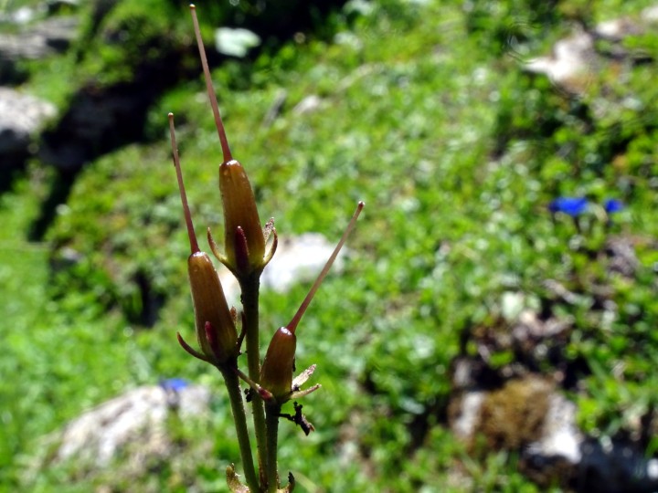 DSC03192b.JPG