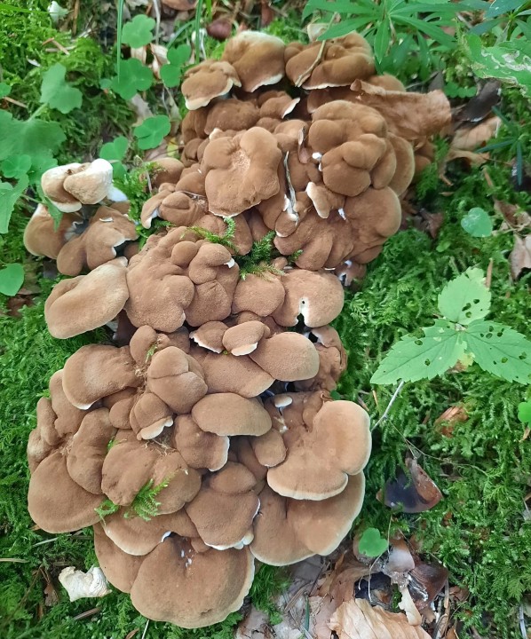 IMG-20230814-WA0001.jpeg