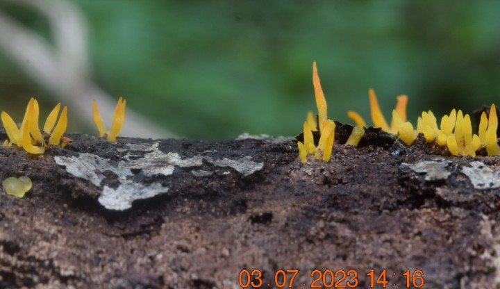 DSC_3410.JPG
