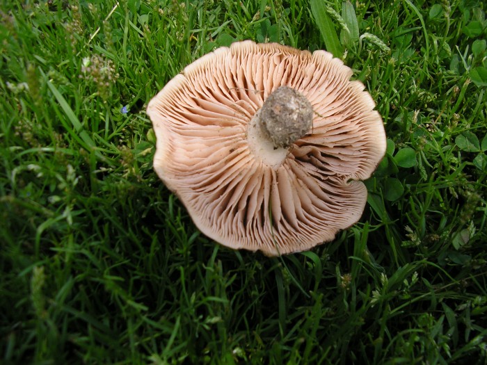 P5120001.JPG