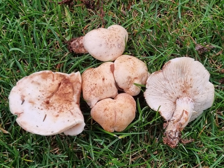 20230914_171201.jpg