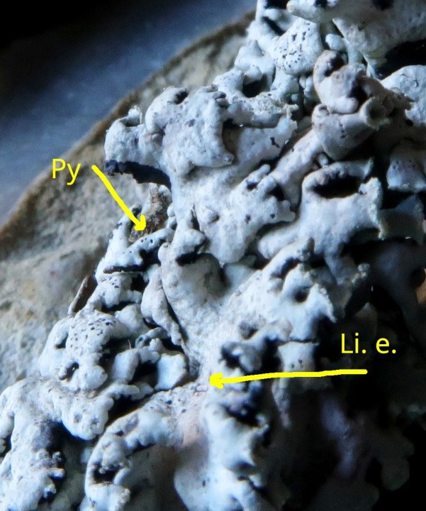 détails et flèches.JPG