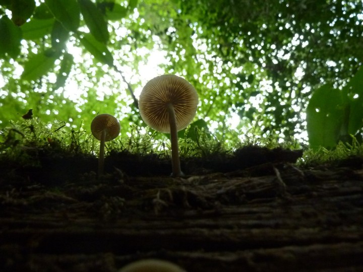 P1130299.JPG
