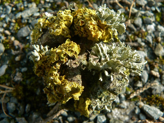 P1120533.jpg