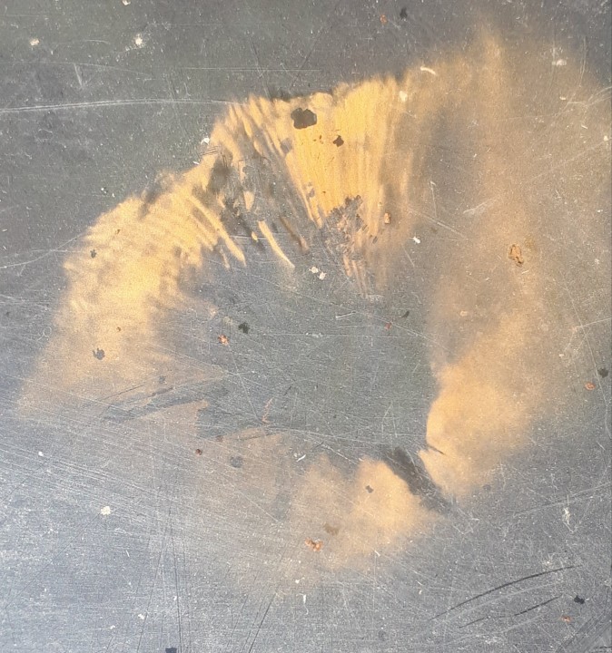 20231009_125659.jpg
