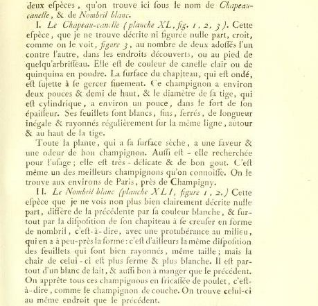 p. 135.jpg