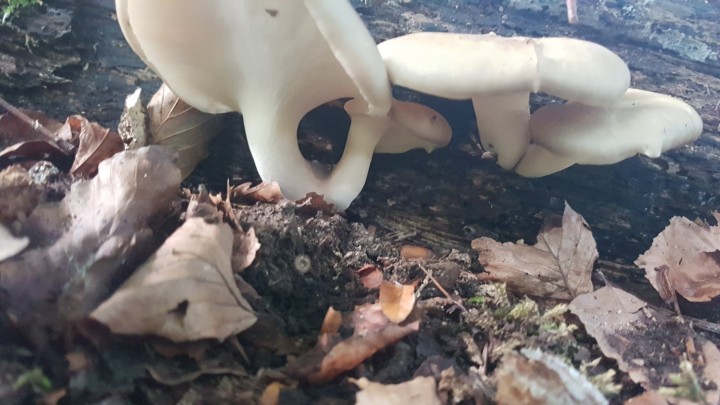 20231014_141507.jpg