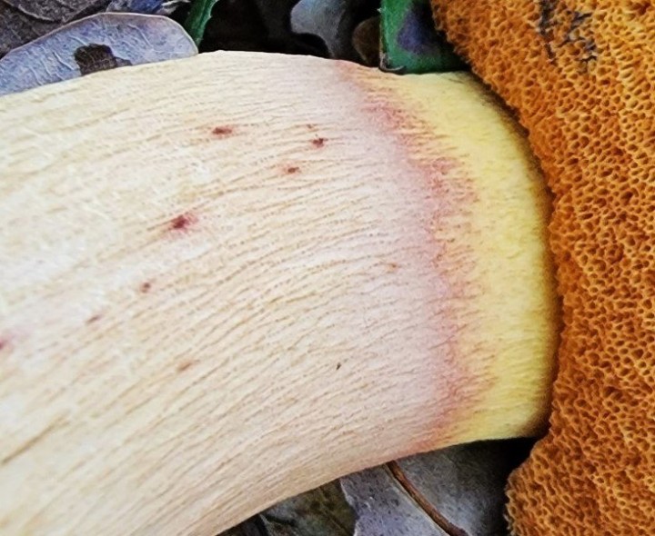 20231008_170207.jpg