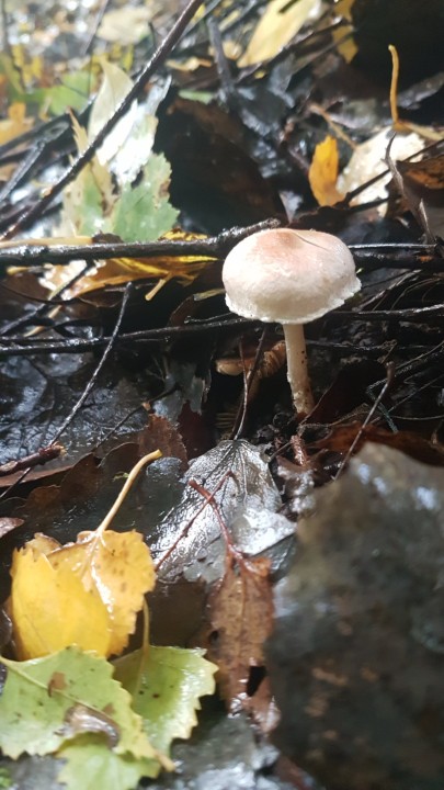 20231022_160448.jpg