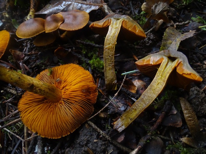 DSC05463.JPG