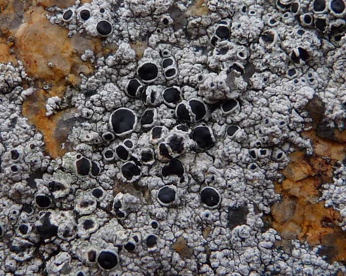 P1020015.JPG
