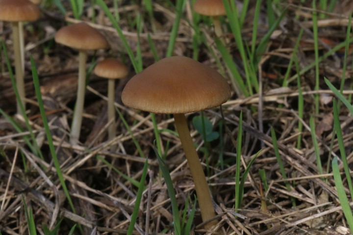 4X6A5469.JPG