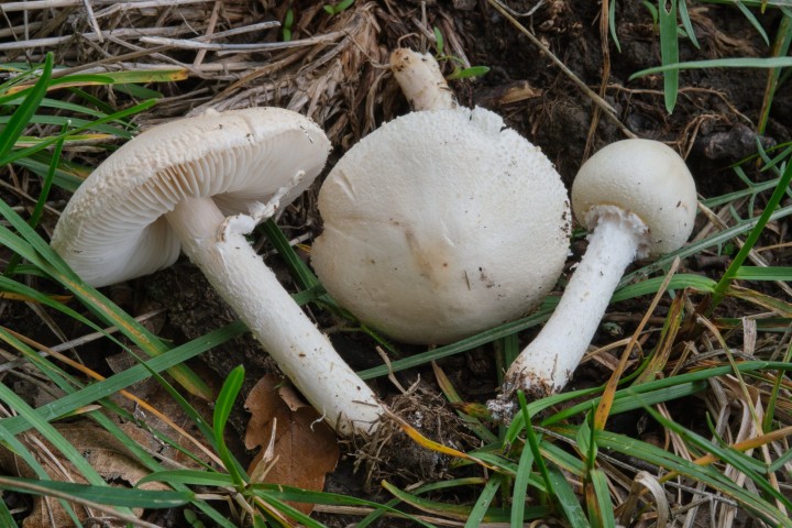 DSCF9134.jpg