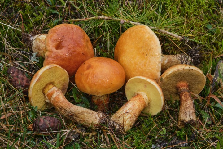 DSCF8903.jpg